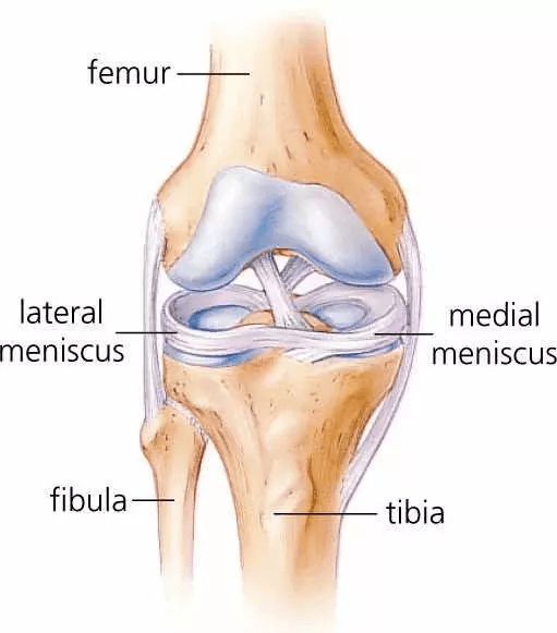 torn meniscus symptoms test