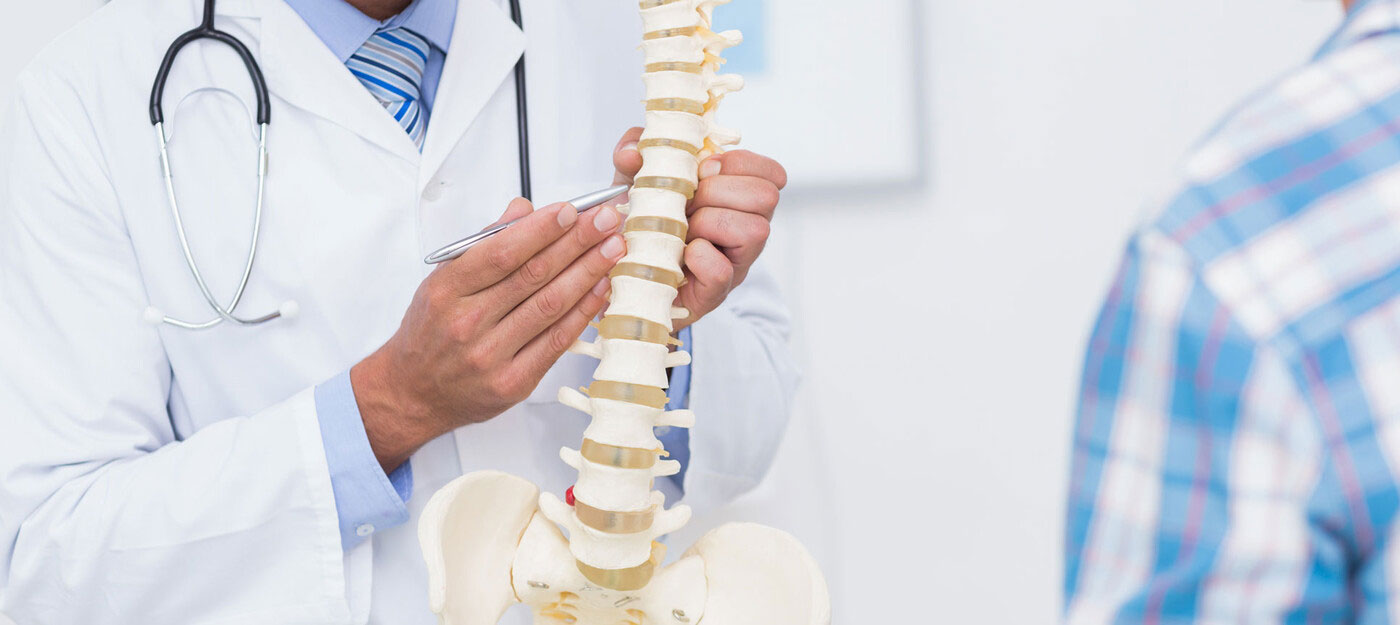 Doctors guide Spine Structure