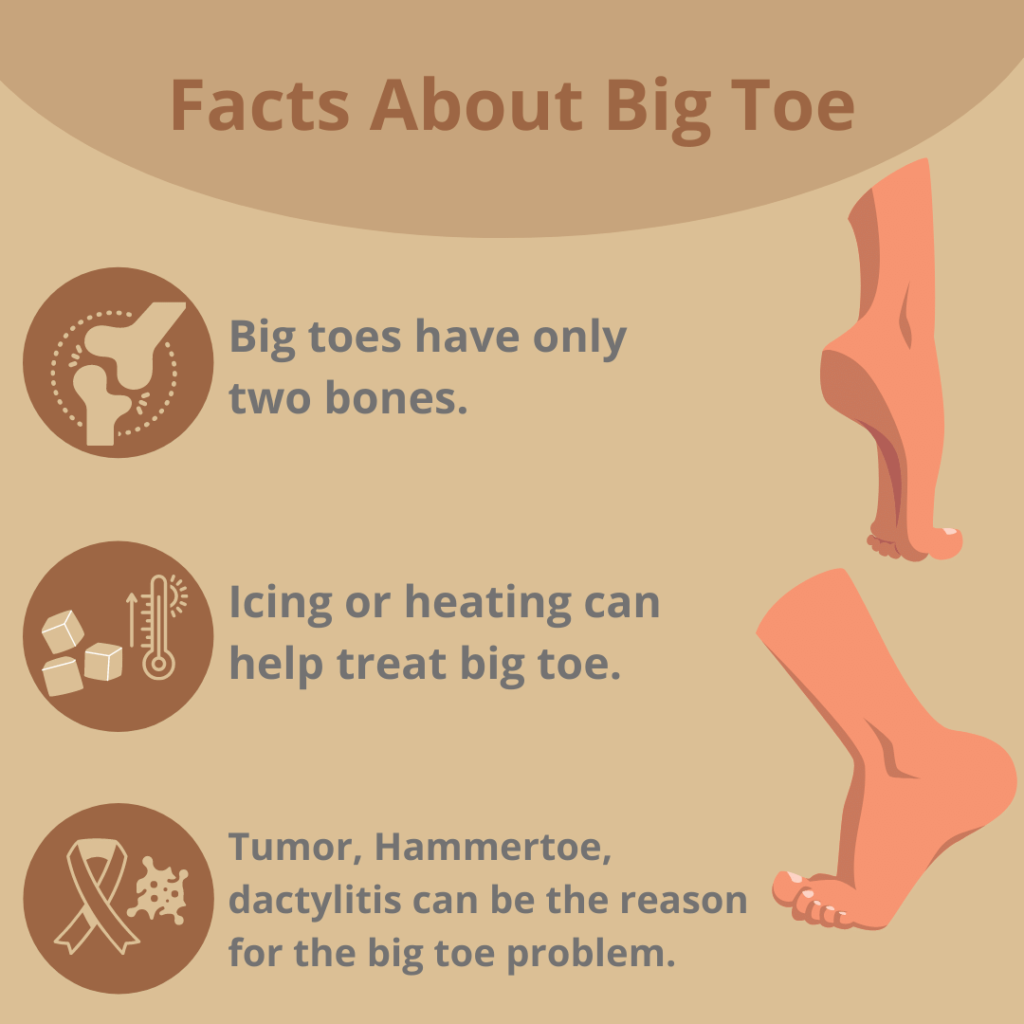 Facts About Big Toe