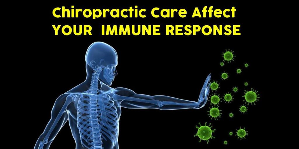 Chiropractic Care Affect your Immune Response