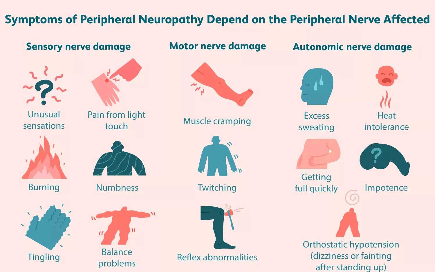 Symptoms of Peripheral Neuropathy depend on the Peripheral nerve affected