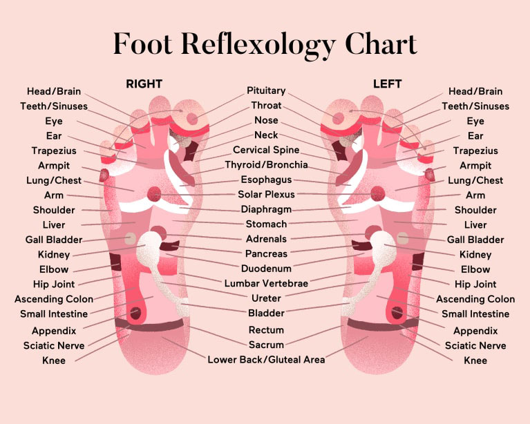 Foot reflexology chart