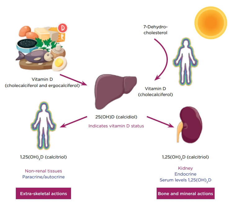 Important Facts You Need To Know About Vitamin D Deficiency